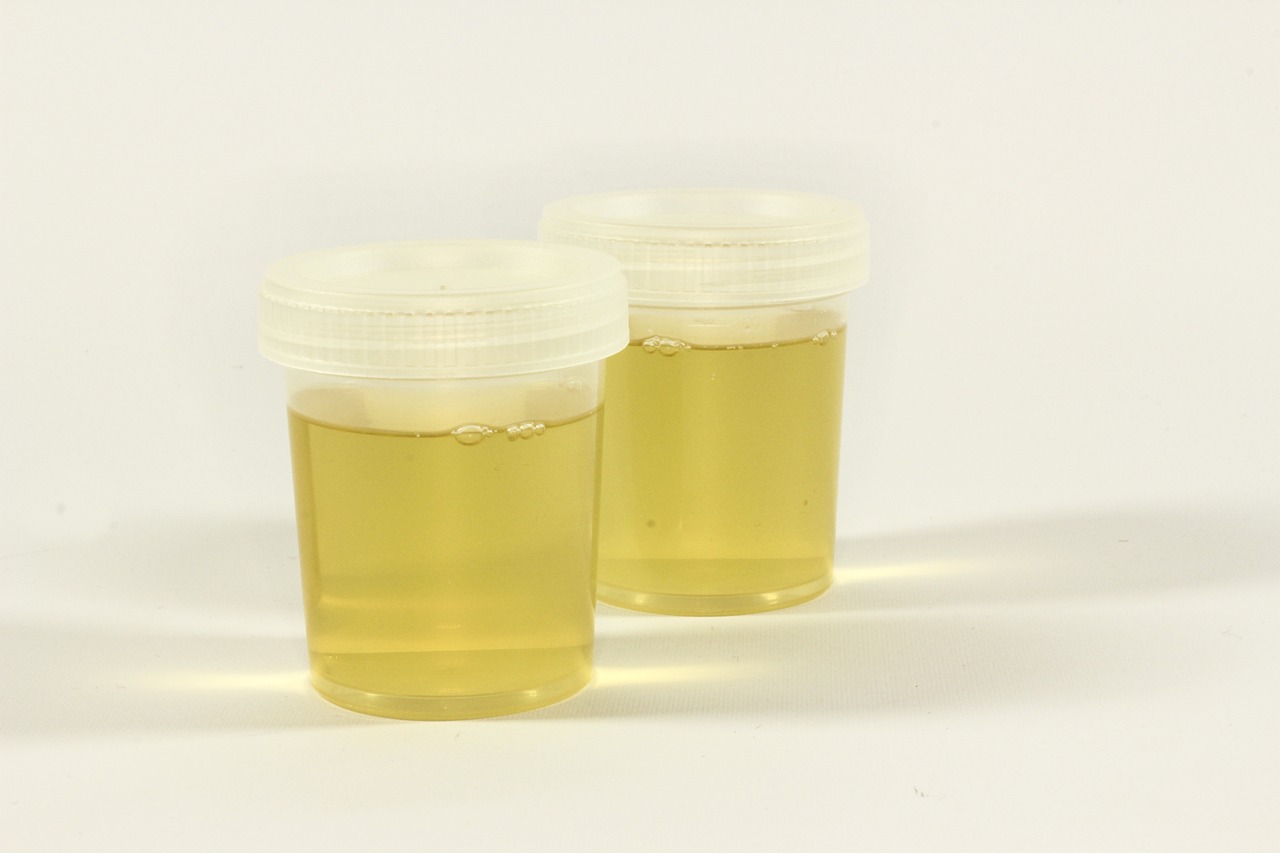 만성 염증