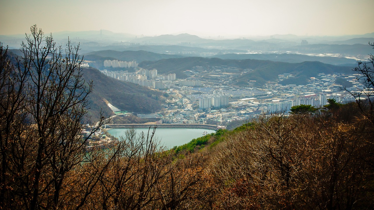 남양주 레스토랑