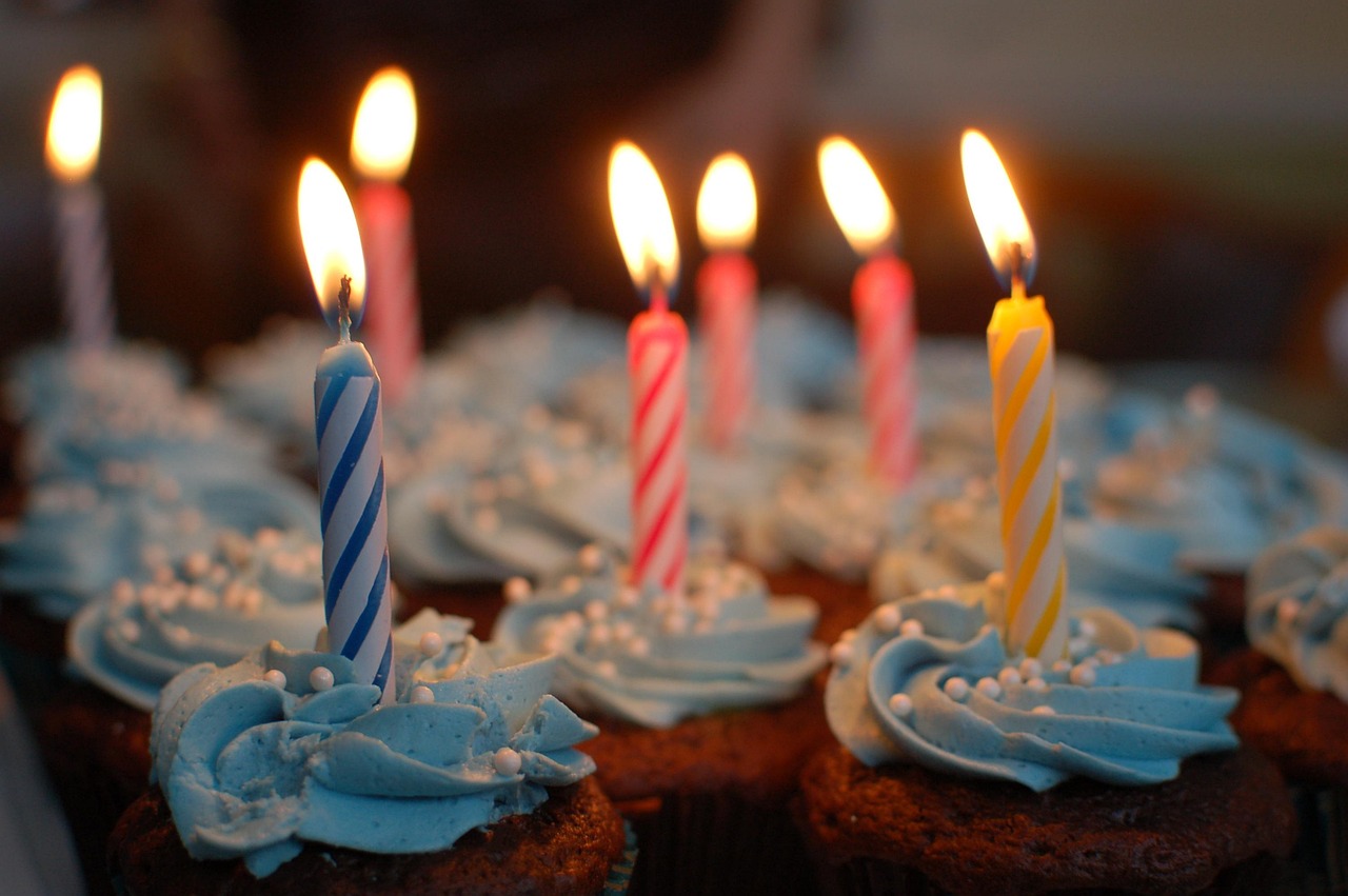 일산 생일파티